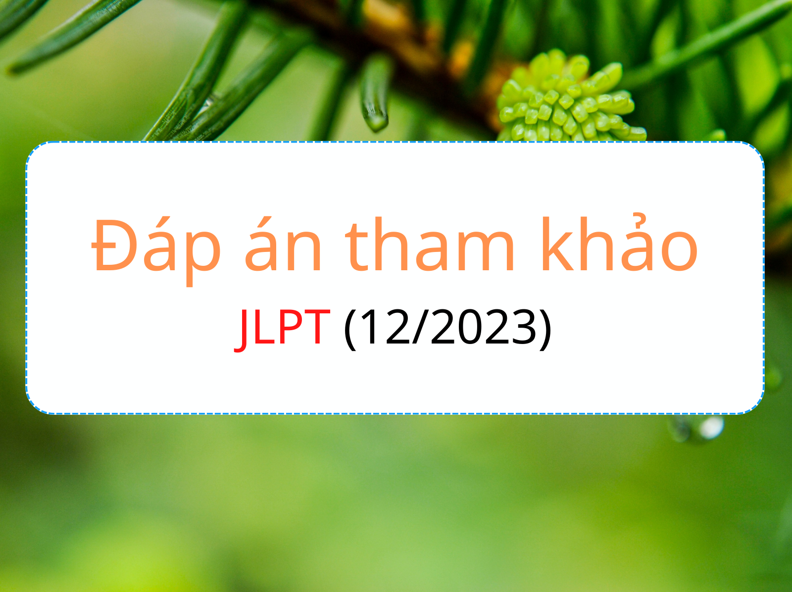 dap an de thi jlpt 12 2023